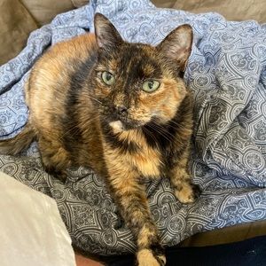 Meet your Posher, Gwen